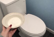 Біля унітазу завжди стоїть мисочка із сіллю + 1 інгредієнт: це не жарт, а роками перевірена ефективність Господині розповіли, навіщо ставити миску із сіллю в туалеті