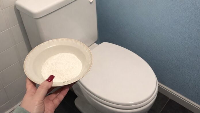 Господині розповіли, як підтримувати чистоту та свіжість в туалеті. Фото: Добрі новини 