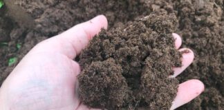 Експерти розповіли, як правильно вносити добрива у березні