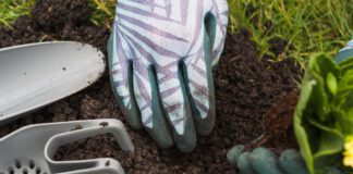 Городники розповіли, як приготувати добриво для рослин
