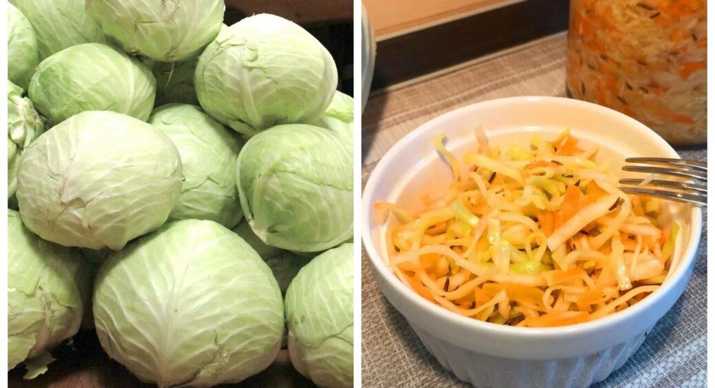 3 кращі сорти капусти для квашення: кума розкрила 1 пораду – і смак закуски змінився 