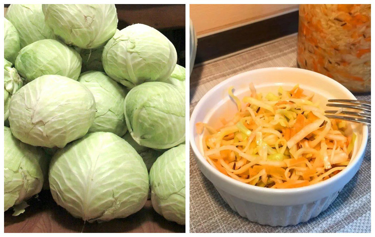 Які сорти капусти підходять для квашення