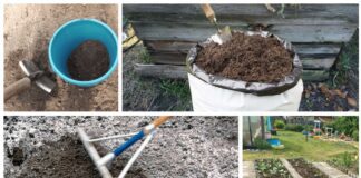 Рецепт добрива для покращення структури ґрунту