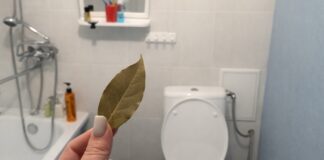 Господині розповіли, як освіжити повітря у туалеті за допомогою лаврового листа 