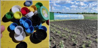 Городники розповіли, як можна використати кришки від пляшок у саду та на городі