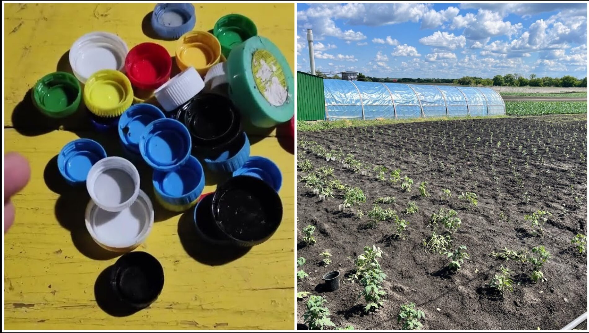 Городники розповіли, як можна використати кришки від пляшок у саду та на городі