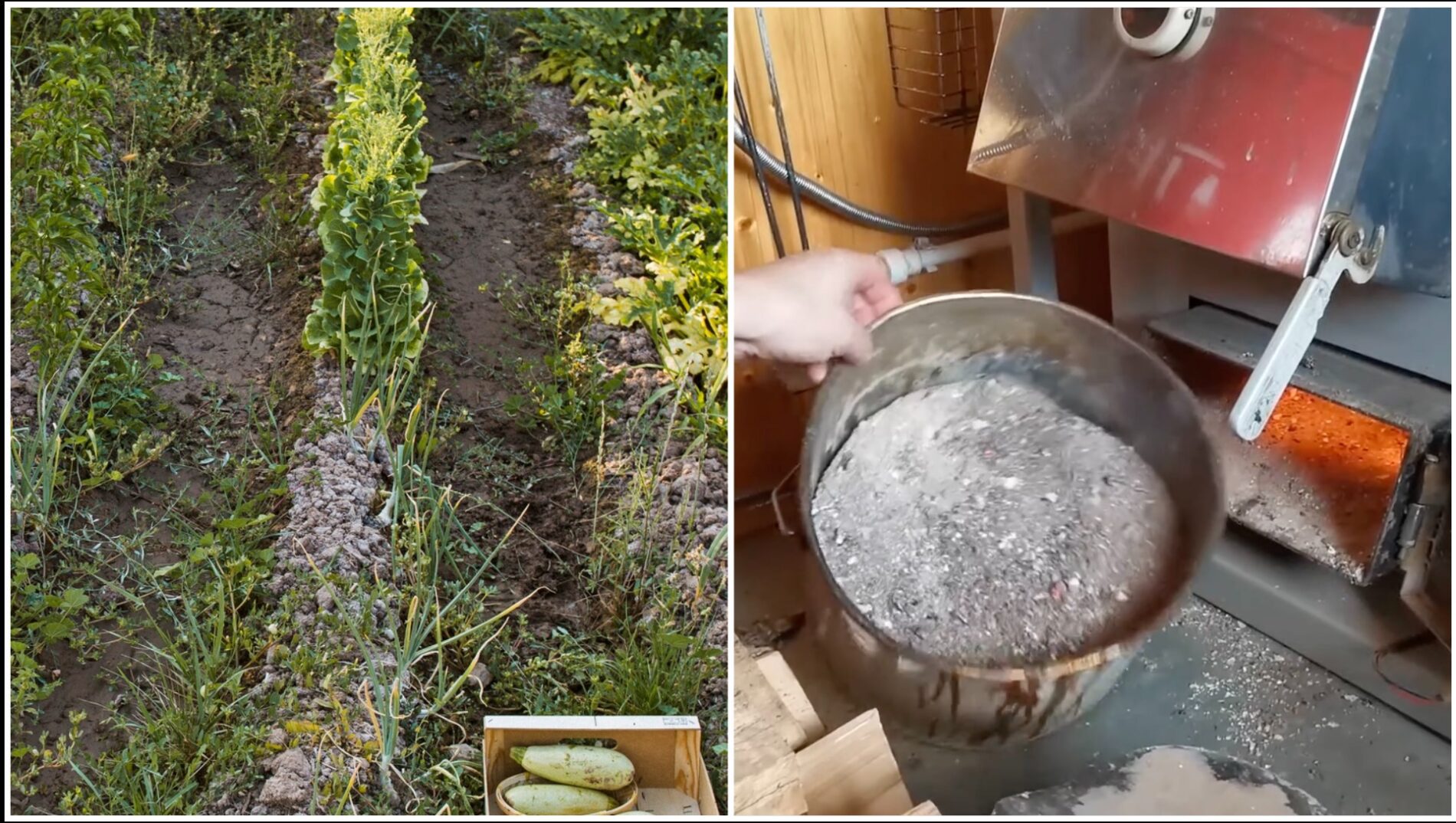 Господині розповіли, як використати з користю попіл із печі