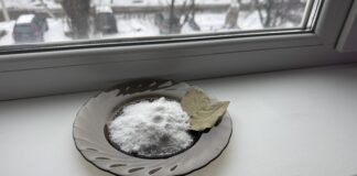 Господині розповіли, як використовувати сіль для зменшення вологості