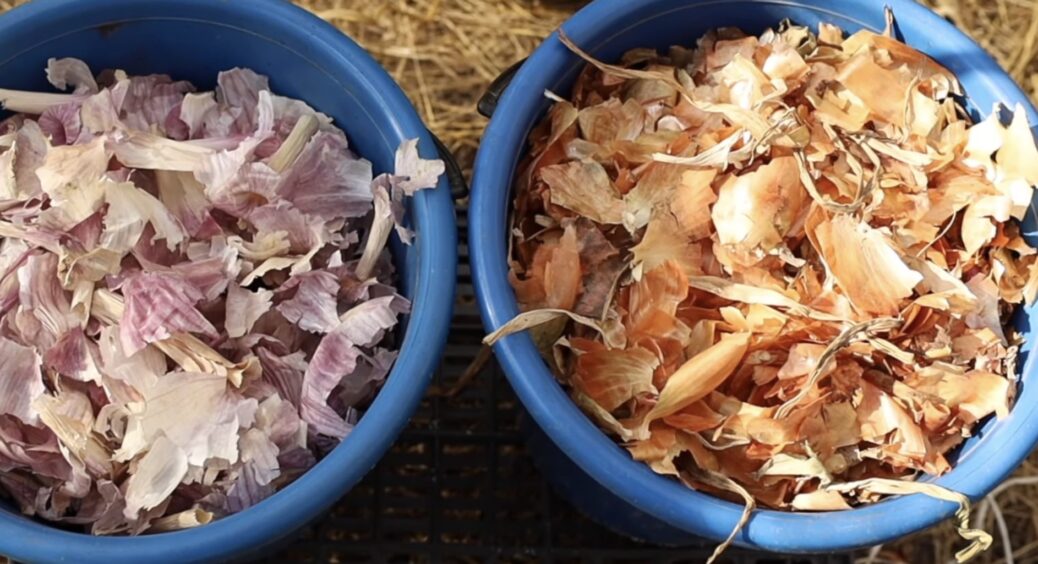 Всю осінь та зиму збираю цибулеве лушпиння, бо з початком дачного сезону — це скарб: 3 методи використання 