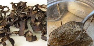 Городники розповіли, навіщо розкладати на городі бананові шкірки