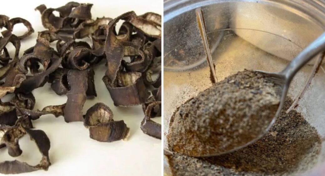 Насушила за зиму відро бананової шкірки, і ось чому: додаю замість добрив 1 жменьку у лунки — і “вау” ефект 