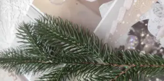 Експерти пояснили, чому живі гілочки ялинки вдома це захист для дома 