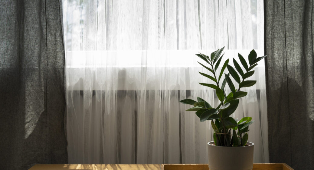 Лише 1 зміна в інтерʼєрі – і вдома стає набагато гарніше та тепліше аж на 30%: лайфхак, який працює завжди 