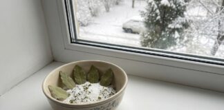 Господині розповіли, навіщо ставити сіль з лавровим листям на підвіконня