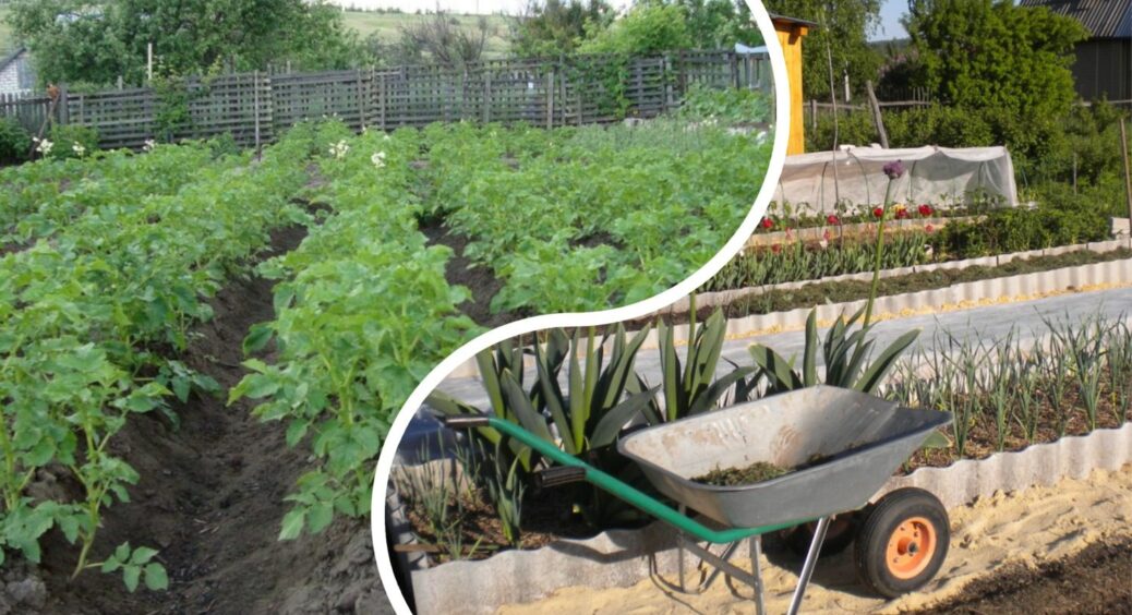 Організувала свій город за 1 “золотим” правилом: навіть у спеку +45 він вологий без щоденного поливу 