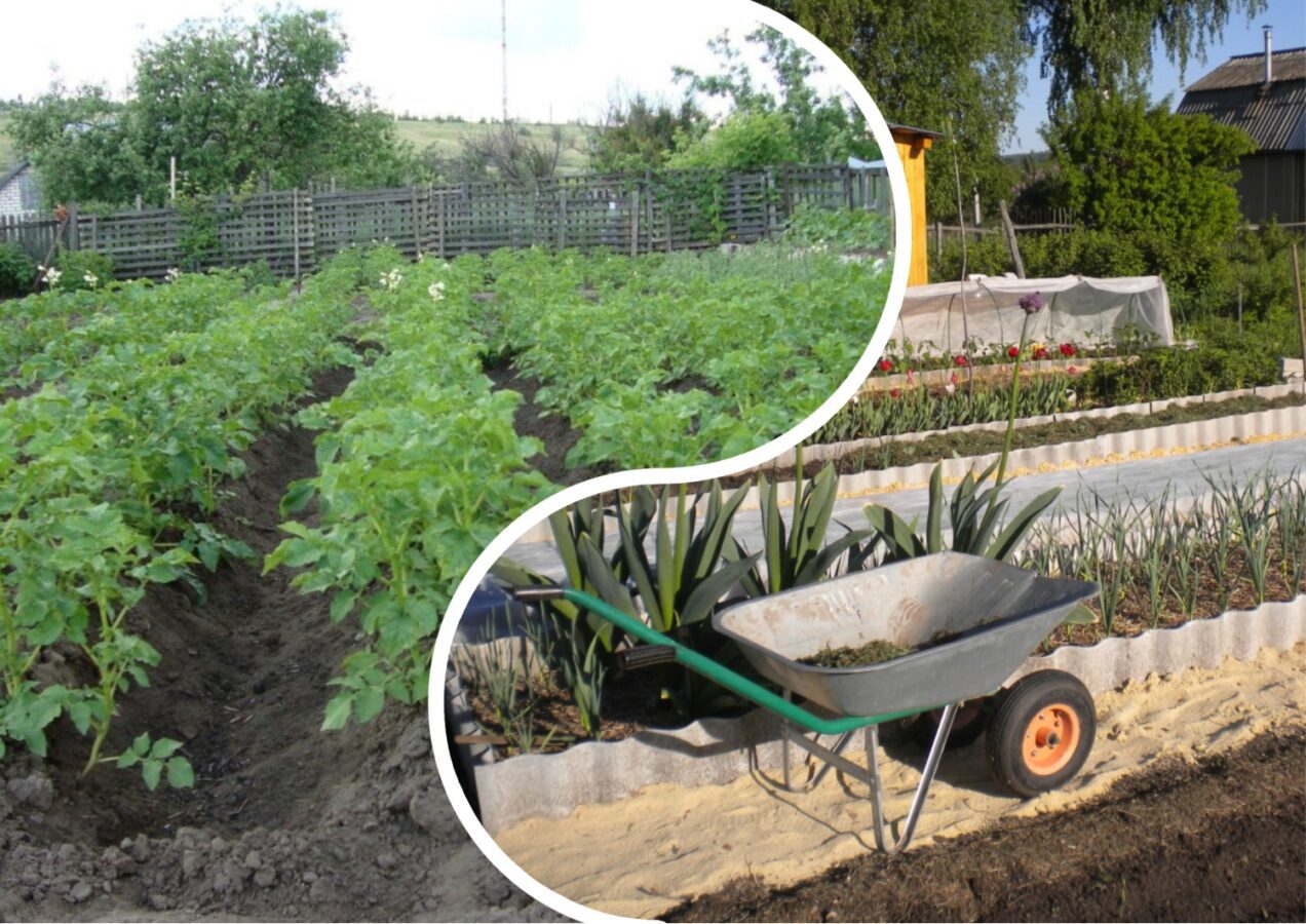 Як організувати грядки на городі, аби вони завжди були вологі