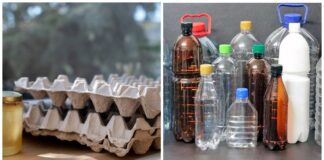 Господині розповіли, як з користю використати пляшки та лотки від яєць у побуті