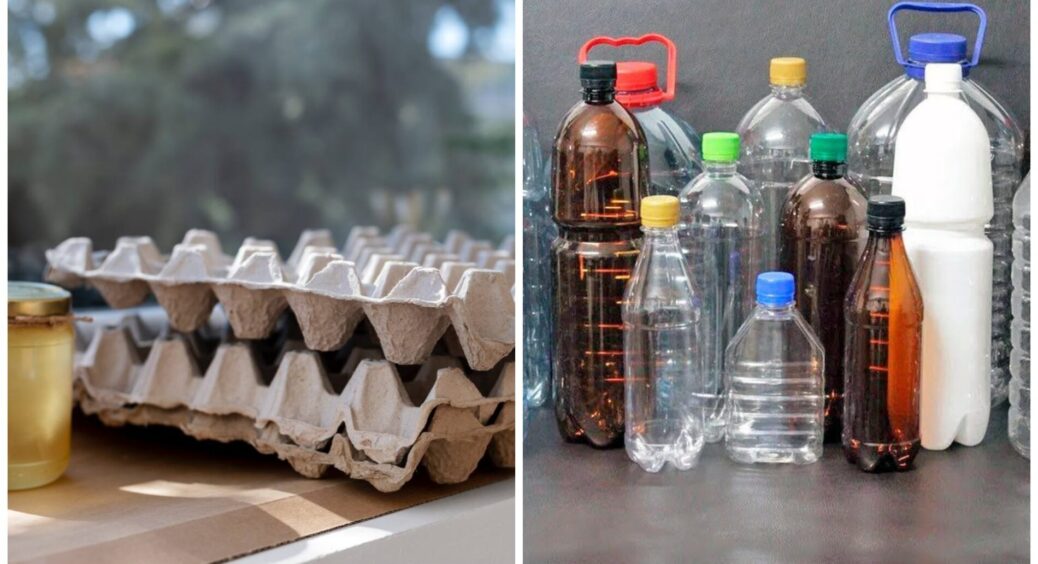 Жіночки в окрузі кривляться, бо вони викидають, а я збираю пляшки і лотки з-під яєць: вони працюють на мене 