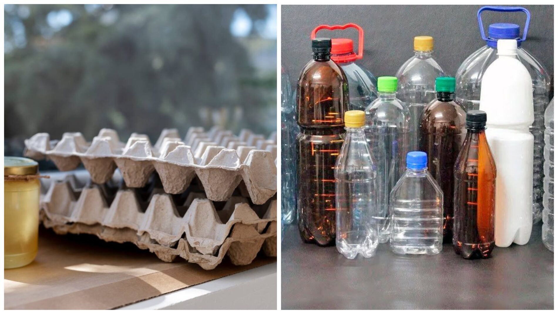 Господині розповіли, як з користю використати пляшки та лотки від яєць у побуті