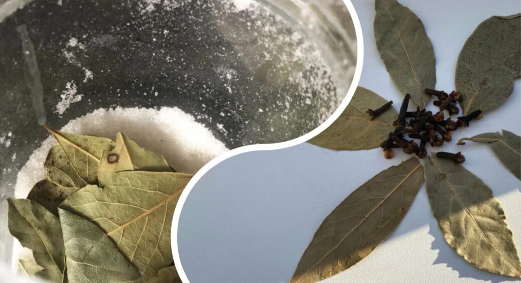 Ставлю на вікно мисочку із сіллю, а туди – 1 лавровий листок: цей “забобон” серйозно допоміг у житті 