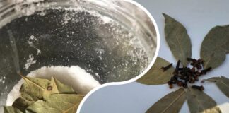 Як залучити багатство в будинок