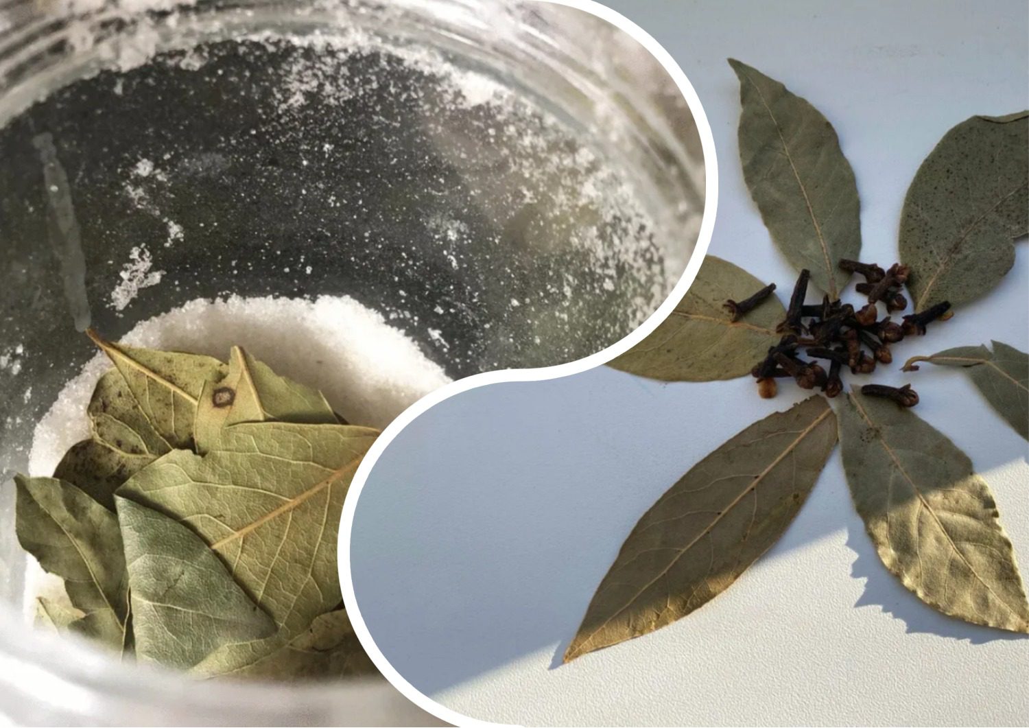 Як залучити багатство в будинок