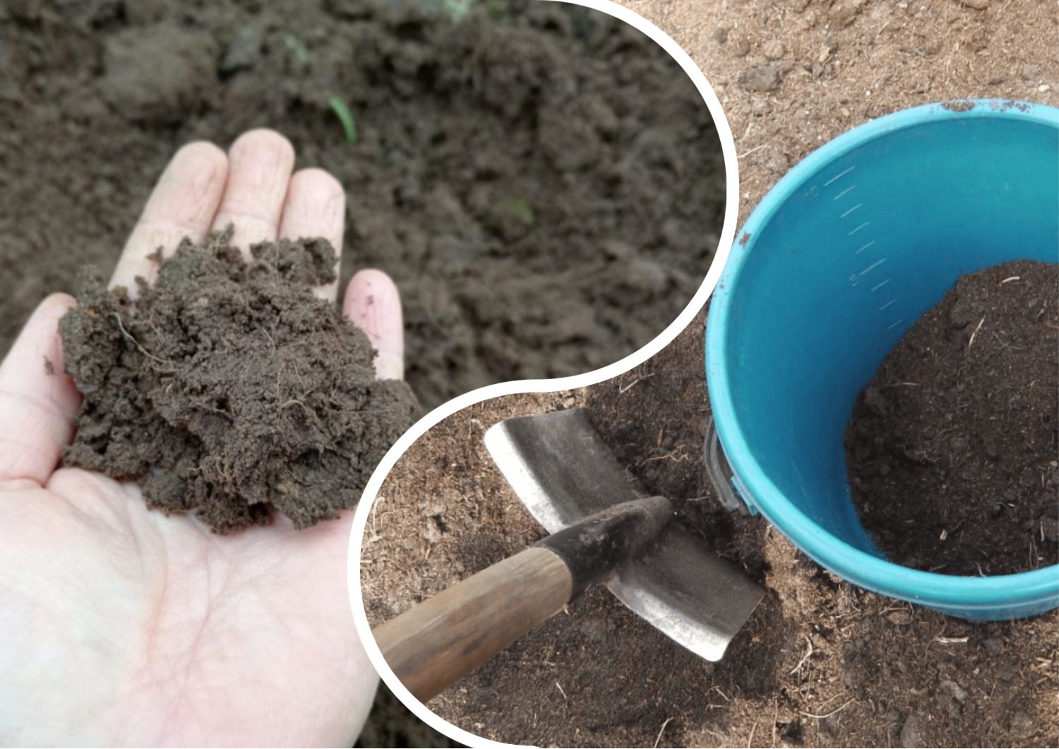 Яке добриво не можна вносити в ґрунт взимку