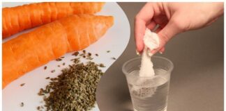 Городники розповіли, як швидко проростити будь-яке насіння