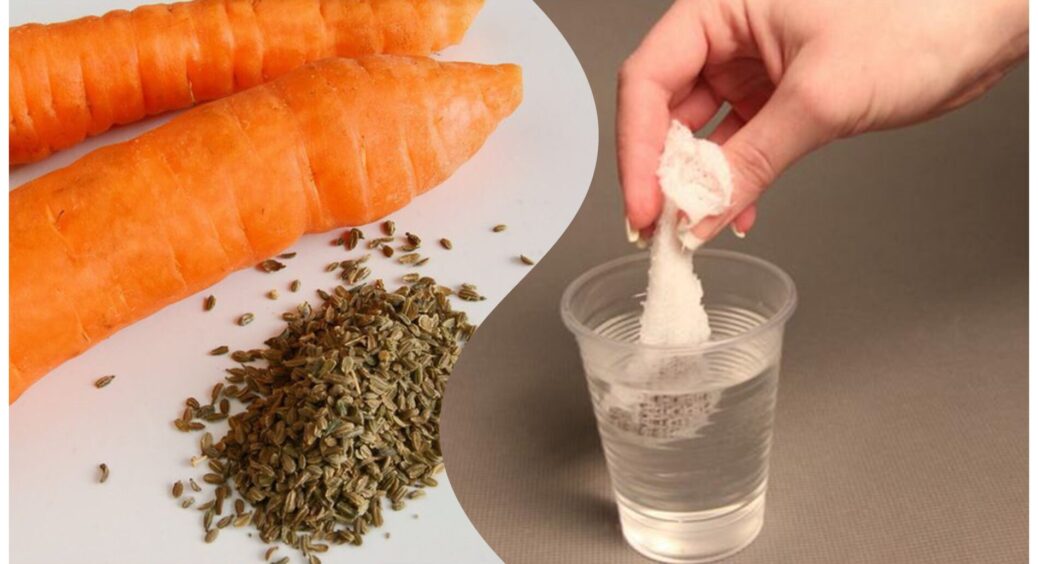 Усього 2 краплі – і насіння проростає за 24 години: міцна розсада без стимуляторів за моїм рецептом 