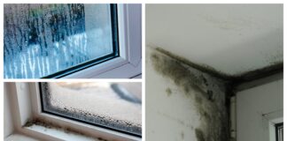 Господині розповіли, як позбутися плісняви на вікнах