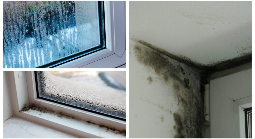 Пліснява на підвіконні, укосах і гумових ущільнювачах: як прибрати без хімії та попередити – 1 зимовий трюк 