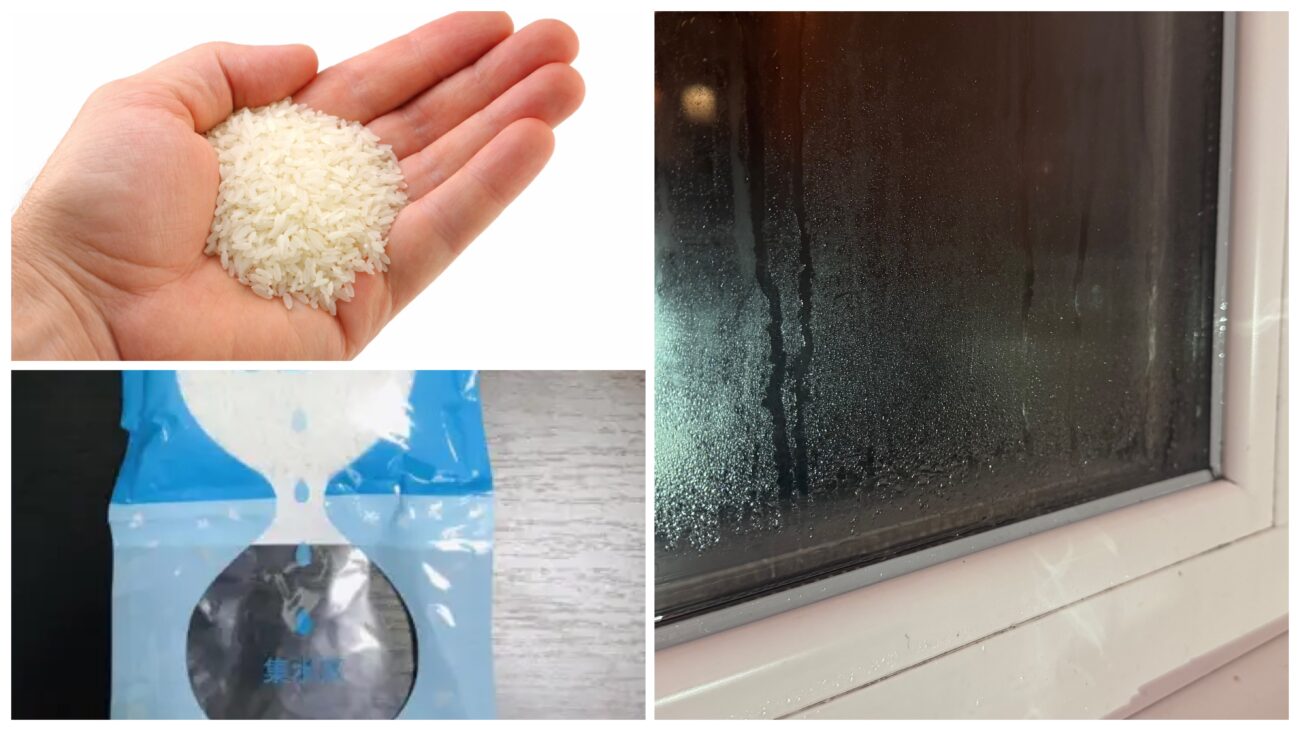 Господині розповіли, які поради не допомагають від конденсату на вікнах