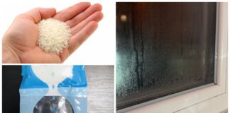 Господині розповіли, які поради не допомагають від конденсату на вікнах  