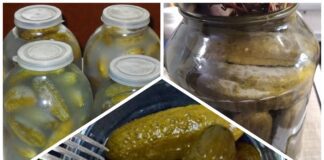 Кулінари розповіли, чи можна їсти консервовані огірки з білим нальотом 