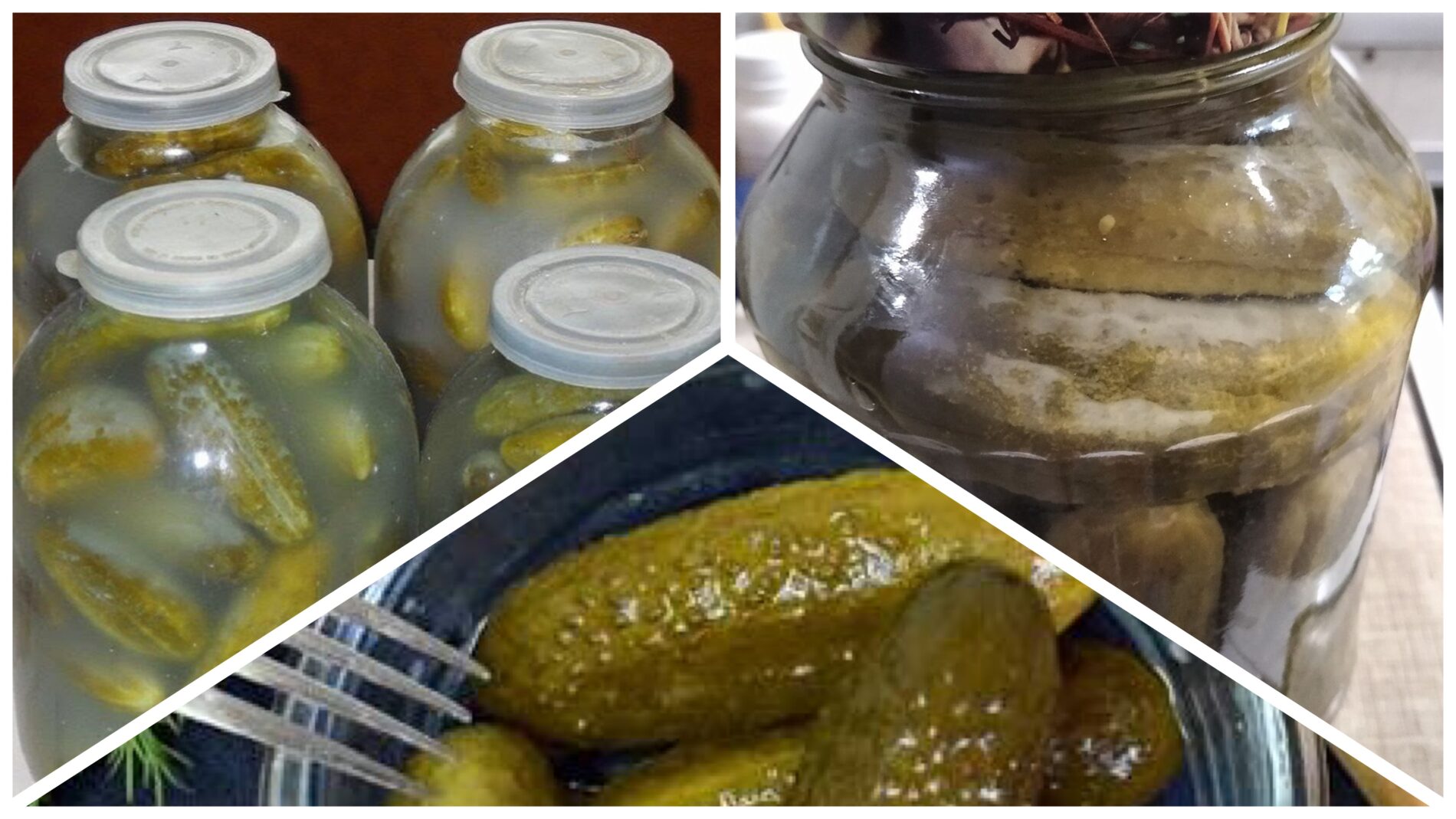 Кулінари розповіли, чи можна їсти консервовані огірки з білим нальотом 