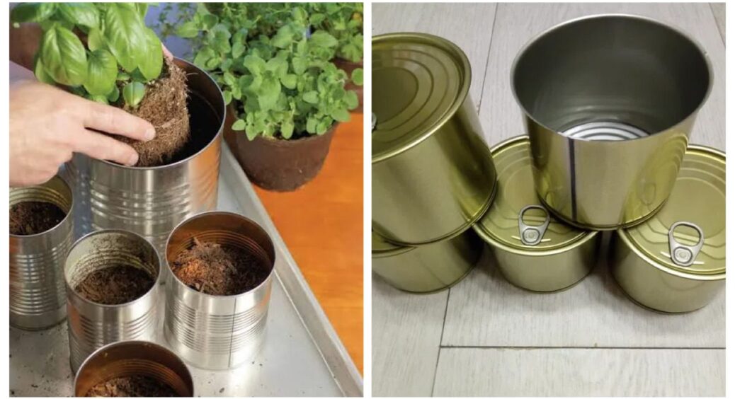 Не викидаю банки з-під консерв, бо для мене то — скарб: чекаю весни і користуюся “уловом” на всі 100% 