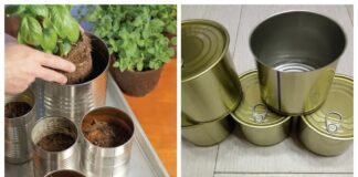 Господині розповіли, як можна використовувати банки з-під консерви на дачі 