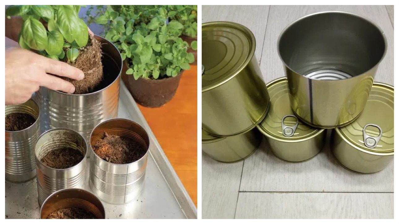 Господині розповіли, як можна використовувати банки з-під консерви на дачі 