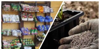 Городники назвали добрива, які використовують протягом сезону