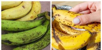 Експерти розповіли, які банани більш корисні - жовті чи зелені 
