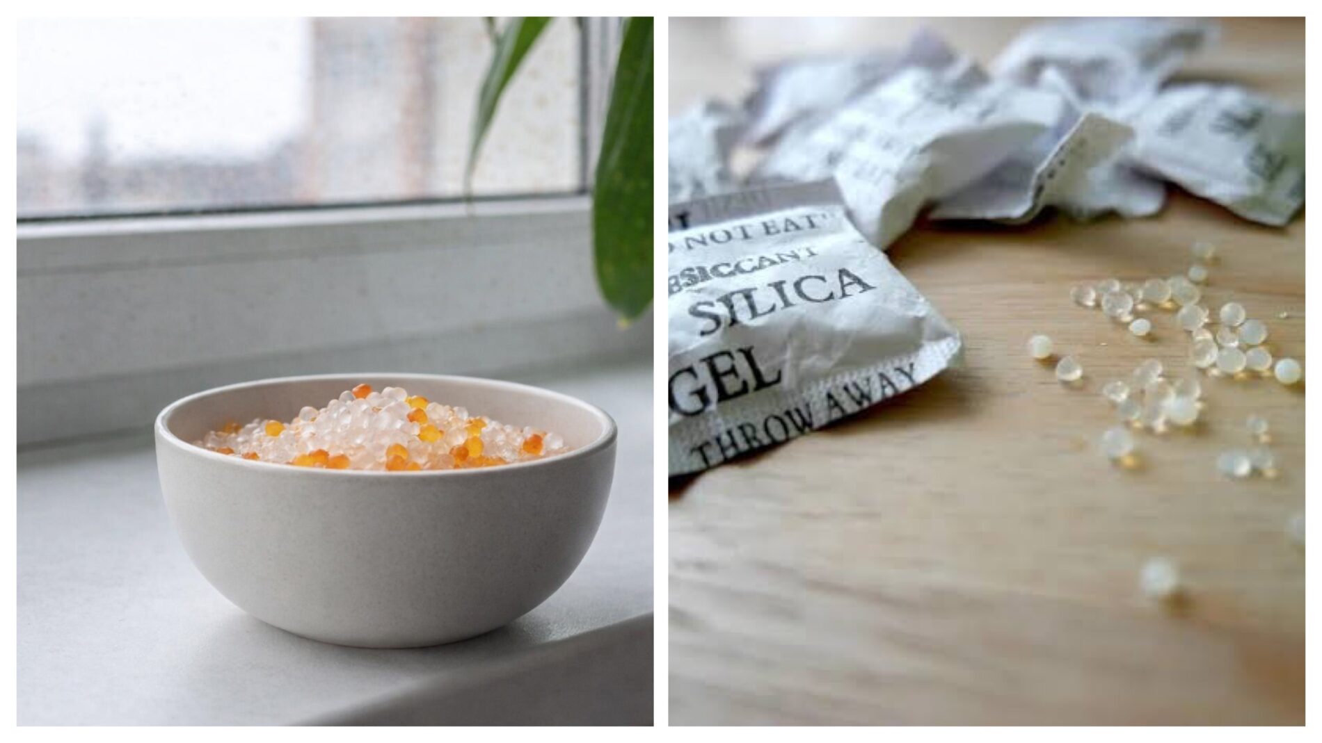 Господині розповіли, як позбутися конденсату на вікнах 