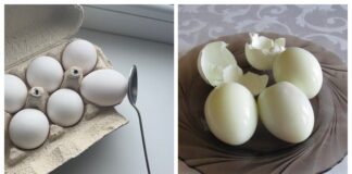 Експерти розповіли, як легко очистити варене яйце