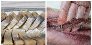 Господині розповіли, як швидко почистити оселедець від кісток 