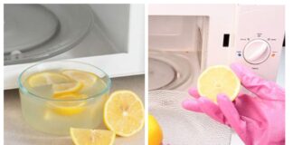 Господині розповіли, як очистити мікрохвильовку звичайним лимоном  