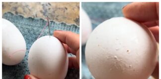 Господині розповіли, навіщо проколювати яйце голкою перед варінням 