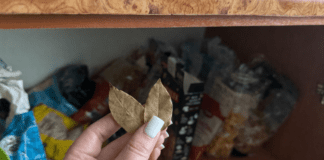 Господині розповіли, навіщо класти у шафу з крупами лавровий лист 