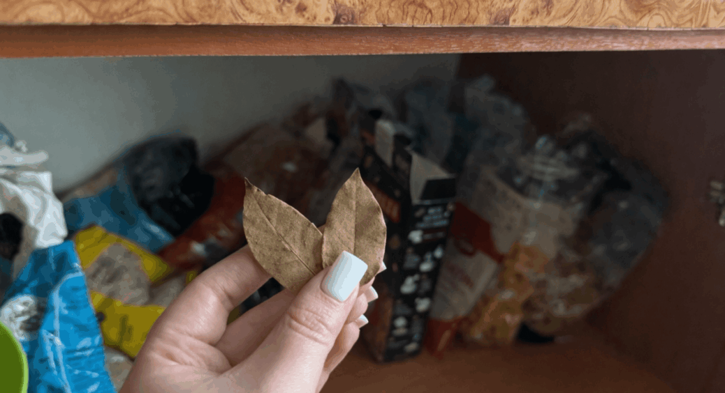 У шафу з крупами та спеціями кладу по 7 лаврових листів — інші розтикаю по відкритих пакетах: ефект на 10-ку 