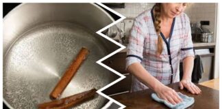 Господині розповіли, навіщо заливати палички кориці оцтом і як це використовувати  