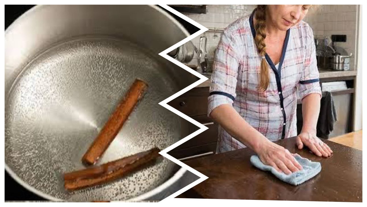 Господині розповіли, навіщо заливати палички кориці оцтом і як це використовувати  