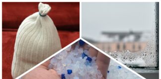 Господині розповіли, як використовувати наповнювач для котячого лотка у побуті 